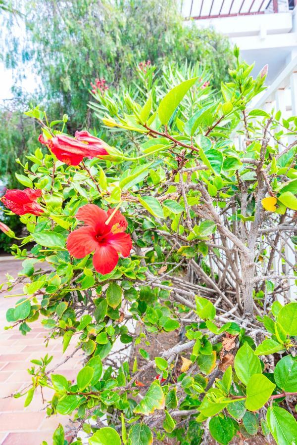 Vivienda Vacacional Sunny - Duplex Apartment 2Beds 2 Baths Costa Teguise Exterior foto